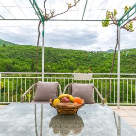 Apartment Green view Slime