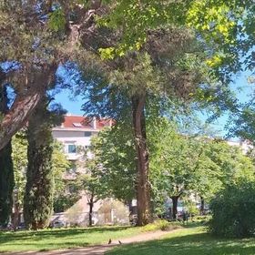 Apartment Vesna Split