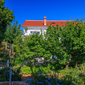 Apartments Ivica Barbat