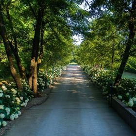 Csipkerózsa Üdülőházak Csólyospálos