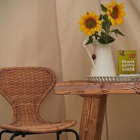 Tipi Village at Bonair Călăţele