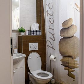 Apartment Sofya's Home Sighișoara