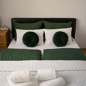 Apartment Sofya's Home Sighișoara