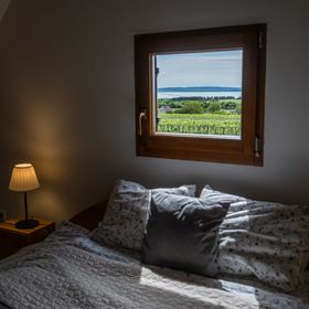 Tagyon Birtok Kései Szüret Apartmanház Tagyonhegy