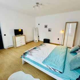 Maria Studio And Apartment Sighișoara