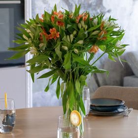 Apartament Spadochroniarzy 10D | Jasny Apartament| Parking