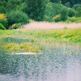 Casa Sofia Vicoveanca Horodnic de Sus