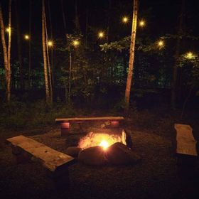 Căsuța cu Brazi Viștișoara