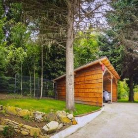 Căsuța cu Brazi Viștișoara