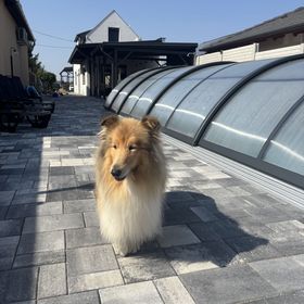 Héliosz Vendégház Békésszentandrás