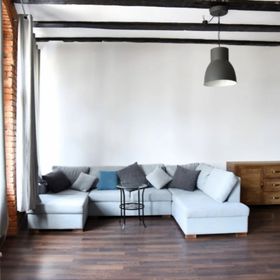 Perfect Stay - Apartament Horzyca 4 Toruń