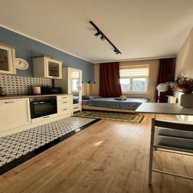 Perfect Stay Apartament Zamkowy 12C Toruń