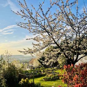 Panorama Residence Pákozd