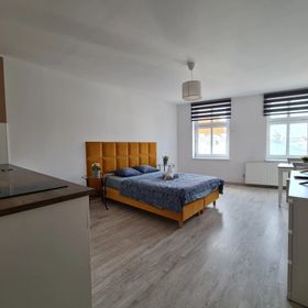 Perfect Stay - Apartament Horzyca 14 Toruń