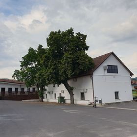 Aranydukát Vendégház Tállya