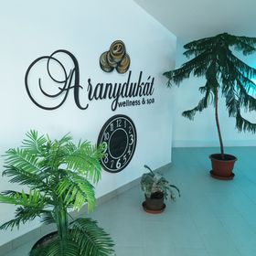 Aranydukát Vendégház Tállya