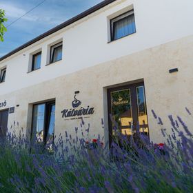 Kálvária Panzió Tata