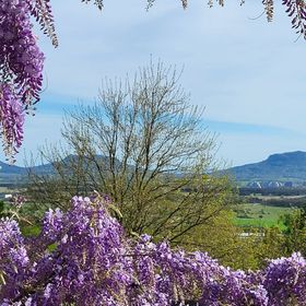 Sol Invictus Vendégház Zalahaláp