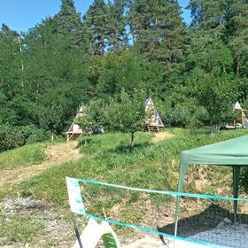 Casa Padurea Magica Micești