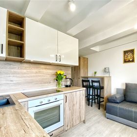 BP Apartment Złoty Zielony Granatowy Toruń