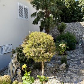 Apartmani Angelina & Minea Dramalj