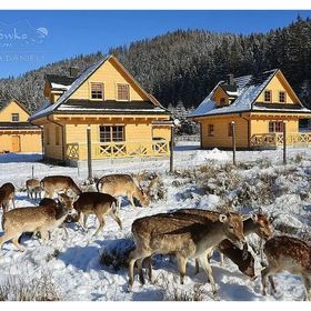Domki Wypoczynkowe Romanówka Żywiec