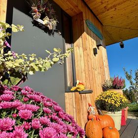 Domek Tatry Bukowina Tatrzańska