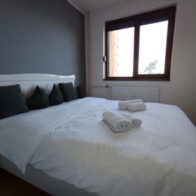 Zlata Ultracentral Home 24t6 Suceava