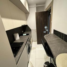 Zlata Vuia Loft Apartments 14 Suceava