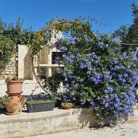 Vendégház Tribunj - CSV359