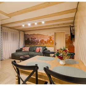 Domki Nad Zaporą w Centrum Soliny Apartament