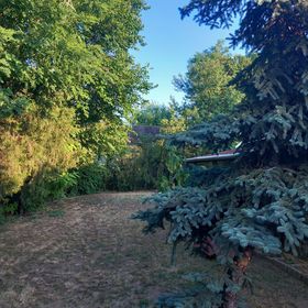 Majs-lakó Kiskunmajsa