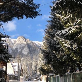 Guest House Urlatoarei - Bușteni