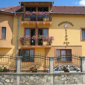 Pensiunea Lion Sibiu