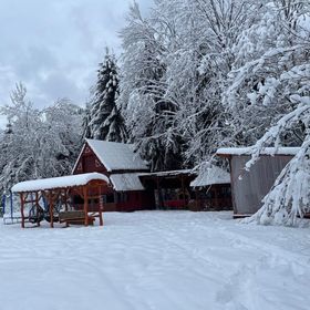 Cabana Paltini Poiana Vadului