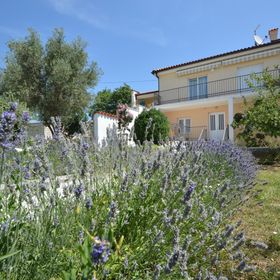 Apartmanok Parkolóhellyel Novi Vinodolski - 24716