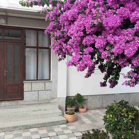 Apartmanok Parkolóhellyel Rab - 24792