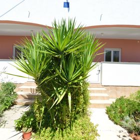 Apartmanok A Tenger Mellett Vir - 24953