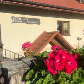 Willa Faustynka Nałęczów