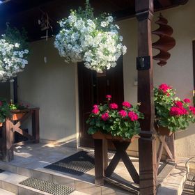 Willa Faustynka Nałęczów