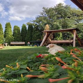 Casa Rustik Bâltişoara