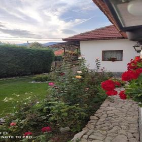 Casa Rustik Bâltişoara