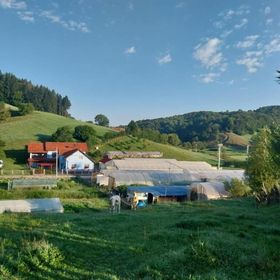 Casa Ardelean Sita Buzăului