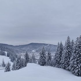 Casa Bucovina Sky View Gura Humorului