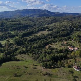 Casa Mystic Twistic Vidra