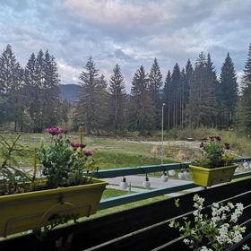 The Evergreen Nest Silver Mountain Apartments Poiana Brasov
