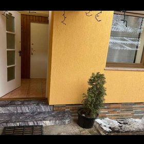 Apartment Old Town Brașov