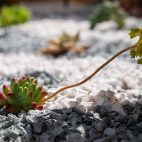 Apartment Mirna Nerezine