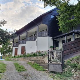 Pensiunea Sara pe Deal Grozăvești