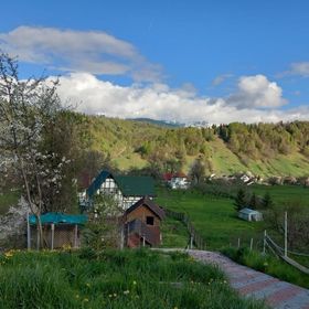 Pensiunea Brian Moieciu de Jos